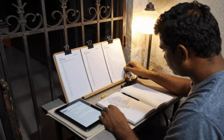 ব্যান্ড 7 কোর্স